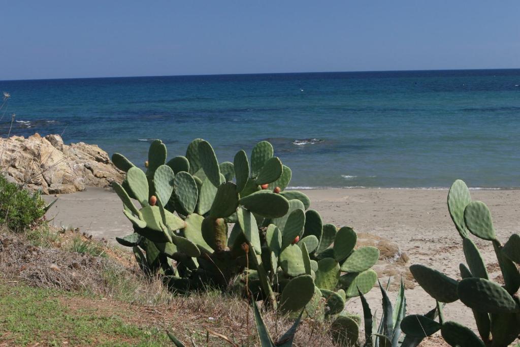 Residence Il Borgo Di Porto Corallo Villaputzu Eksteriør bilde